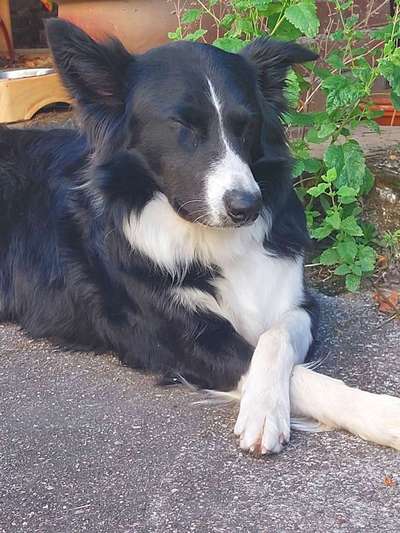 FOTO-Challenge  NR. 91: Die pure Entspannung-Beitrag-Bild