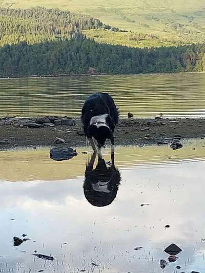 Urlaub in Schottland-Beitrag-Bild