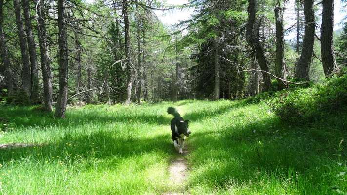 Dogorama Photo Challenge - Tierischer Urlaub-Beitrag-Bild