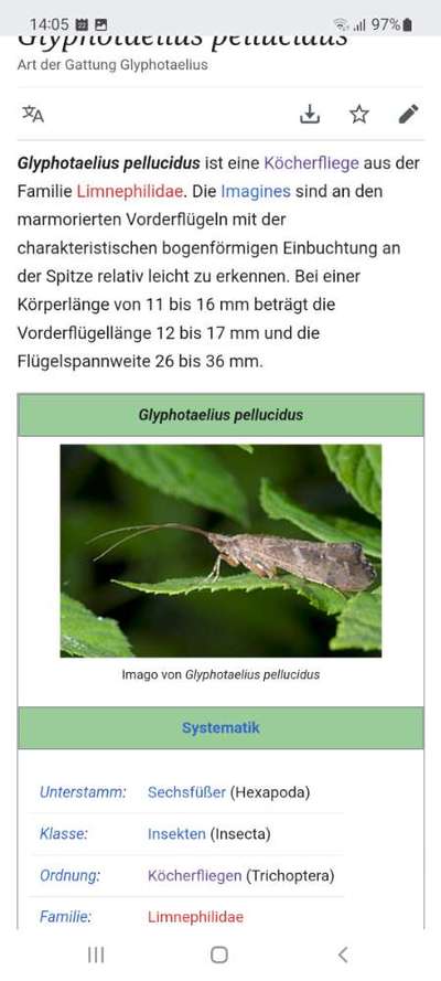 Wer kennt sich mit Insekten aus?-Beitrag-Bild