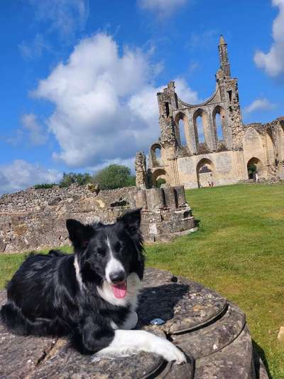 151. Photo Challenge: Sehenswürdigkeiten-Beitrag-Bild