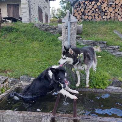 FOTOCHALLANGE NR.71 BADEFREUDE-Beitrag-Bild