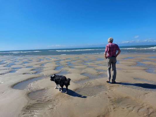 Fähre nach Irland-Beitrag-Bild