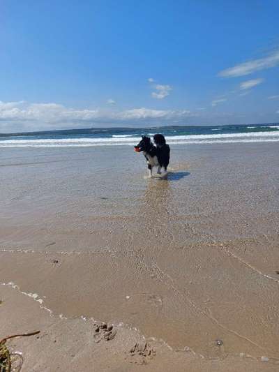 Urlaub in Schottland-Beitrag-Bild