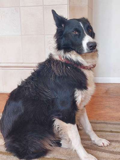 Zeigt mir doch mal eure Dreckspätze-Beitrag-Bild