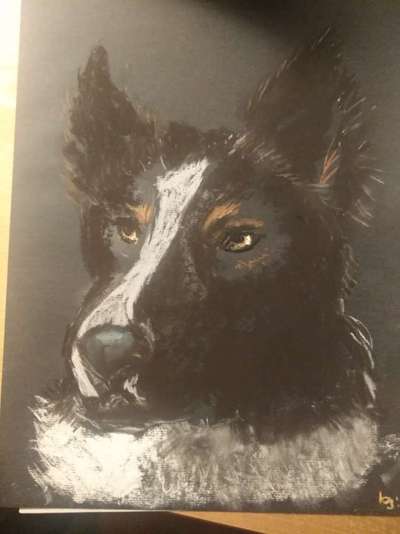 Zeichnungen Eurer Hunde !?-Beitrag-Bild