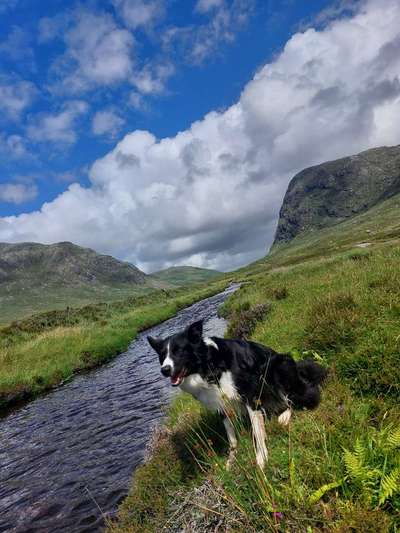 Urlaub in Schottland-Beitrag-Bild