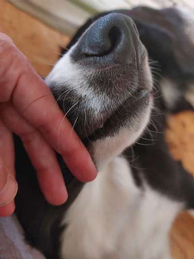 Fotochallenge Nr. 62 Romantische Momente-Beitrag-Bild