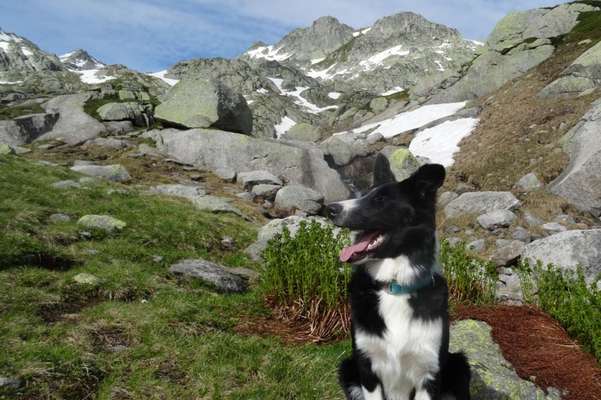 Fotochallenge Nr 107-Beitrag-Bild