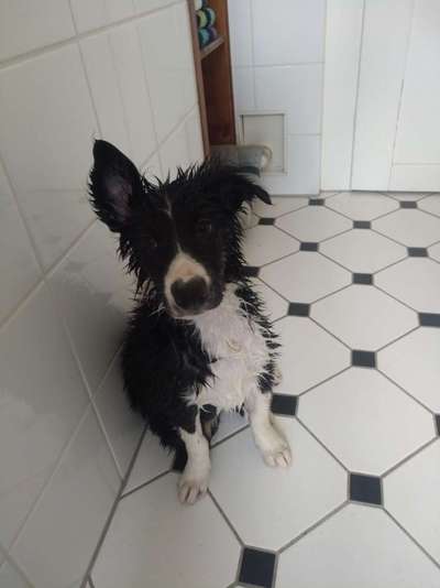 Zeigt mir doch mal eure Dreckspätze-Beitrag-Bild