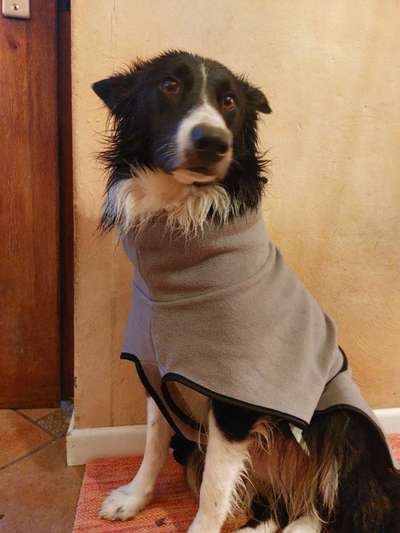 22. Handy Foto - Challenge-Beitrag-Bild