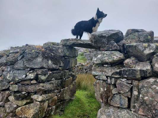 57. Handy Foto Challenge - klettern-Beitrag-Bild