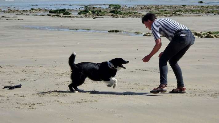 Bright side of life! Schönwetter-Thread-Beitrag-Bild