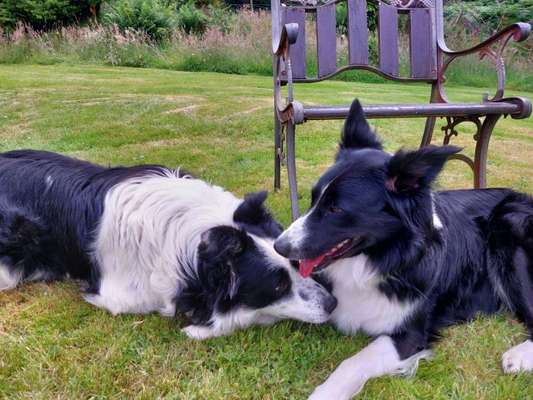 Fähre nach Irland-Beitrag-Bild