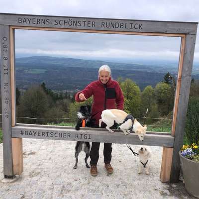 Christine's Profilbild
