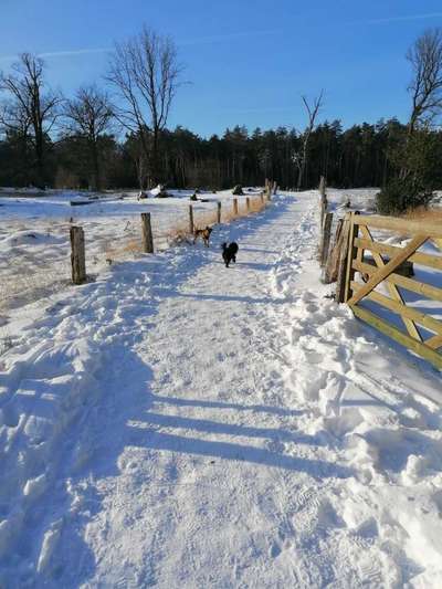 Hundeauslaufgebiet-Schwarzes Wasser in Wesel-Bild