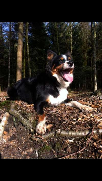 Foto Challenge Nr. 79-Beitrag-Bild