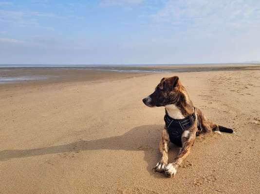 Lieblingsbild-Beitrag-Bild