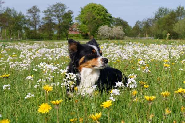 Fotowettbewerb Natur-Beitrag-Bild