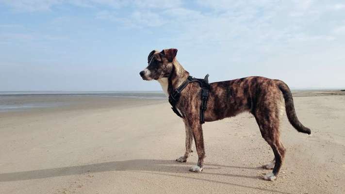 Gen-Test Empfehlungen-Beitrag-Bild