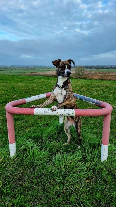 Doppelgänger gesucht !-Beitrag-Bild