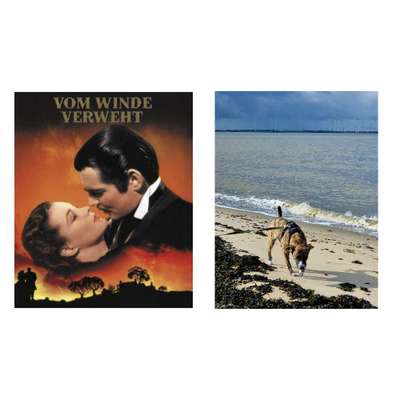 Wie heißt dein Hund?-Beitrag-Bild