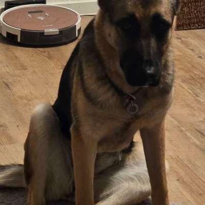 Knochenhautentzündung-Beitrag-Bild