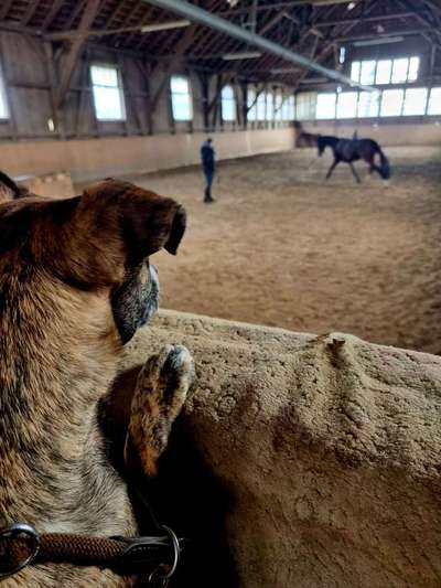 120. Fotochallenge-Beitrag-Bild