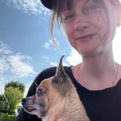 Hundetreffen-Gemächliches Gassigehen 2201 Kapellerfeld-Bild