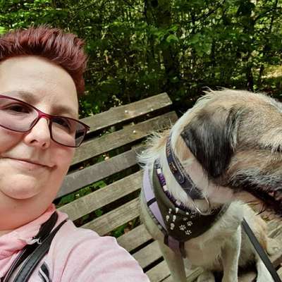 Hundetreffen-Hundesitter-Profilbild