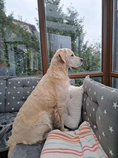 120. Fotochallenge-Beitrag-Bild