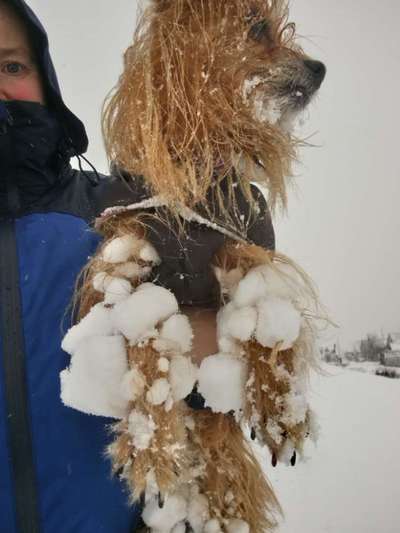 Dogorama Photo Challenge - Es wird nochmal kalt!-Beitrag-Bild