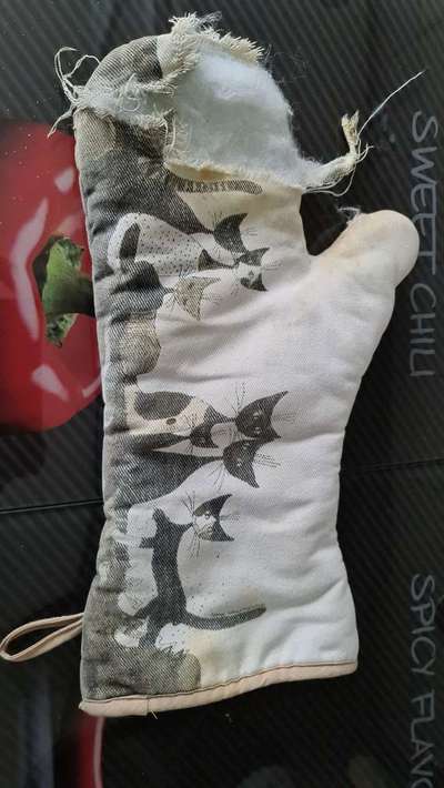 Geschreddert!-Beitrag-Bild