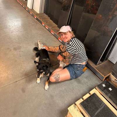 Hundetreffen-Gassirunden-Profilbild