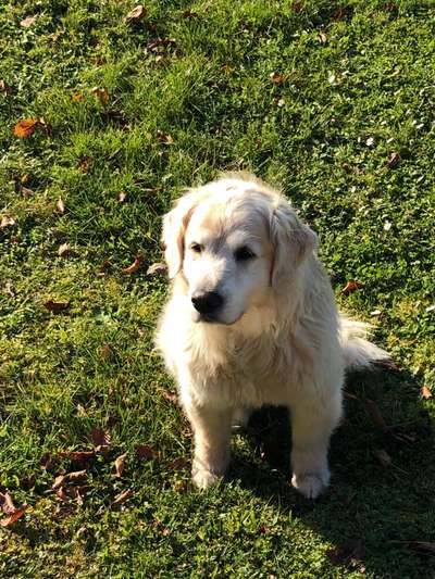 Fotochallenge Nr. 56 - geliebte Senioren-Beitrag-Bild