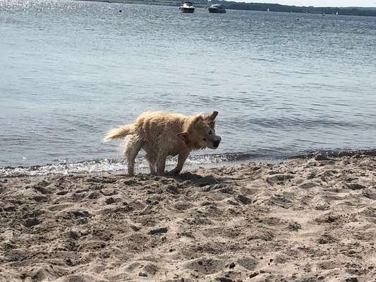 Lieblings Schnappschuss?-Beitrag-Bild