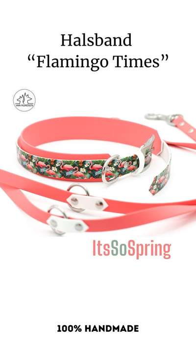 %{de_profession_title}-Hundehalsband und Leine Set-Bild