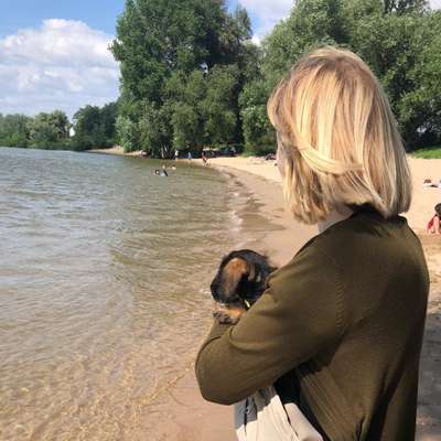 Hundetreffen-Welpentreffen-Profilbild