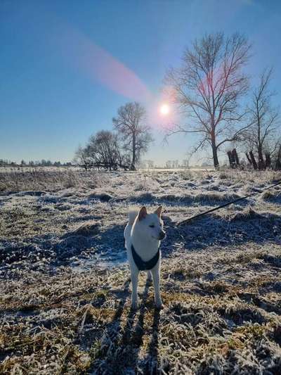 Fotowettbewerb Natur-Beitrag-Bild