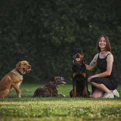 Hundetreffen-Unterordnung oder Fährte