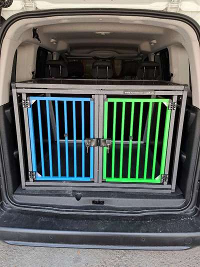 DEIN prefektes Hundeauto-Beitrag-Bild