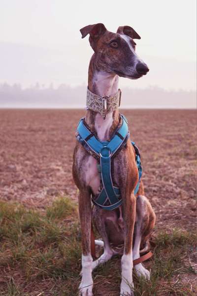 Austausch zur Fotografie-Beitrag-Bild