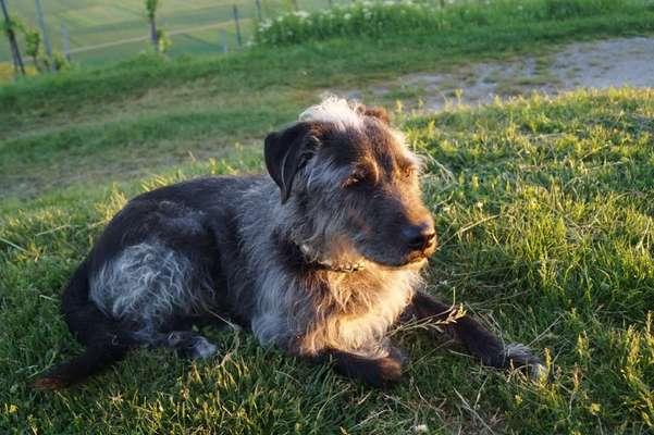 Häufige Vorurteile-Beitrag-Bild