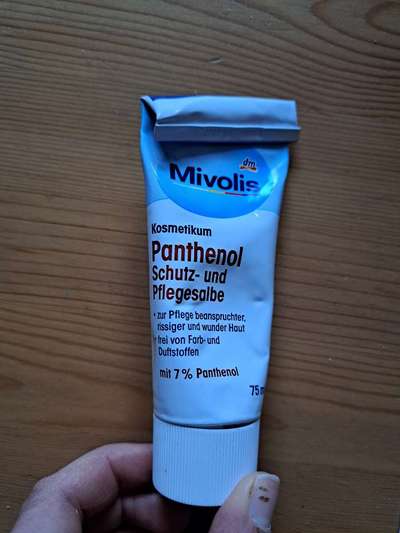 Windhunde - Treffen der besonderen Schönheiten
HERZLICH WILLKOMMEN-Beitrag-Bild