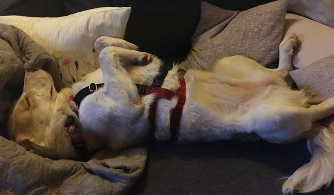 Erstes Bild-Beitrag-Bild