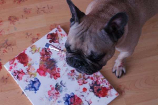 Lustige Grimassen & verrückte Posen-Beitrag-Bild