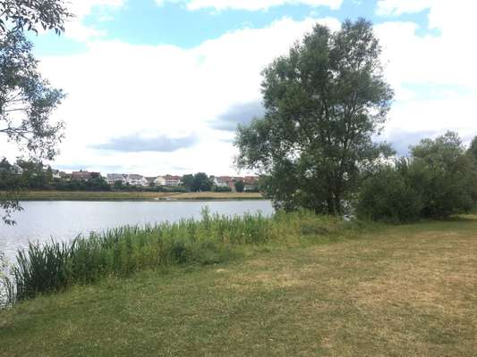 Hundeauslaufgebiet-Hundebadestrand Twistesee-Bild