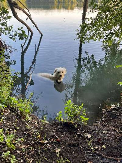 Fotowettbewerb: Wasserratte-Beitrag-Bild