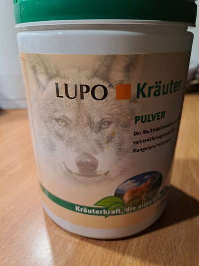 TierschutzhundeStammtisch🐕-Beitrag-Bild