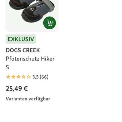 TierschutzhundeStammtisch🐕-Beitrag-Bild